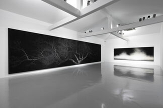 The Transcript of the Moonlight, installation view