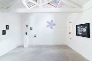 Wild Flowers (wildness is contextual!), installation view
