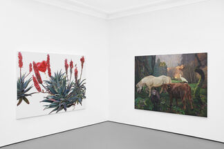PROVERB, installation view