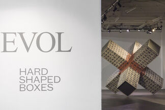 EVOL: Hard Shaped Boxes, installation view