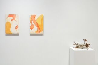 The Curators' Eggs, installation view