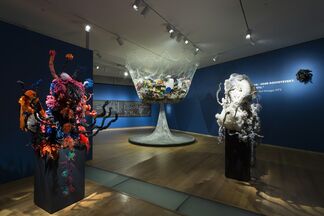 Crochet Coral Reef: TOXIC SEAS By Margaret and Christine Wertheim and the Institute For Figuring, installation view
