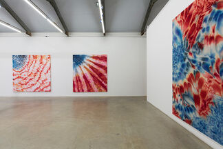 Red, White and Blue - Piotr Uklanski, installation view