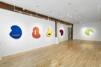 Colors, installation view