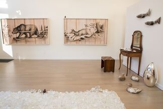 Joseph Rossano: Conservation From Here, installation view
