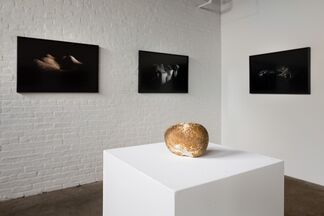 Leah Raintree, Another Land: After Noguchi, installation view