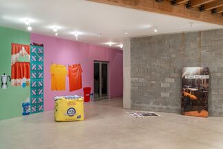 Lucia Hierro | Vecinos / Neighbors, installation view