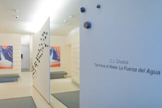 66: C.J. Chueca, The Force of Water/La Fuerza Del Agua, installation view