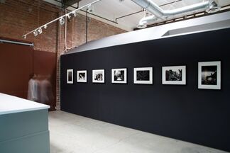 Daido Moriyama, installation view