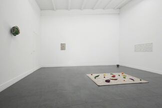Nicolàs Lamas "The Structure of the Wild", installation view