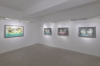 CONNECTIONS, installation view