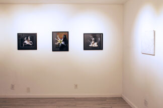 Lost Gallery Show, installation view