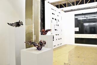Borzo Gallery at Art Rotterdam 2017, installation view