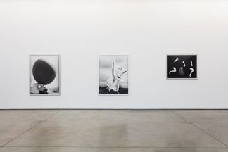 Carina Brandes - "Blow Up", installation view