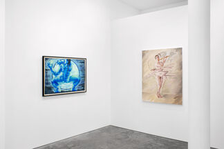 Lily Wong + Ian Faden: Lunations, installation view