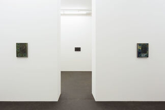 Victor Man - Luminary Petals on a Wet, Black Bough, installation view