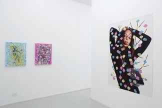 Michael De Feo, installation view