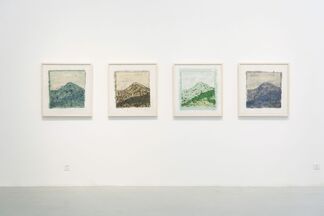 Ye Yongqing: Hidden in the Grass, installation view