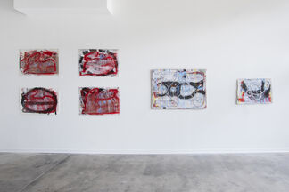 Michael Luchs, On the Fly, installation view
