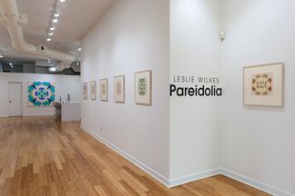 Leslie Wilkes, Pareidolia, installation view