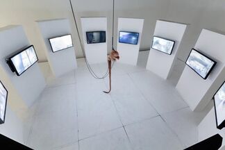 Multimedia Installation by Bernard Khoury, installation view