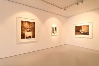 Chocolate by Marc Lagrange, installation view