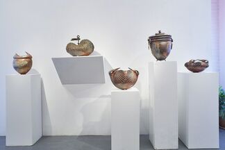Earth Skin, installation view