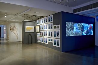 Islands off the Shores of Asia, installation view