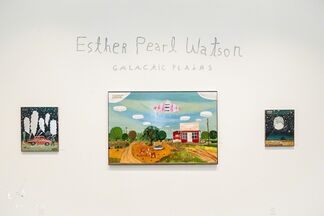 Esther Pearl Watson | GALACTIC PLAINS, installation view