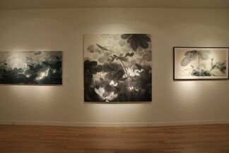 Minol Araki (1928-2010), installation view