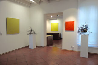 The magic of structure, installation view