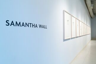 Samantha Wall: See Me See You, installation view