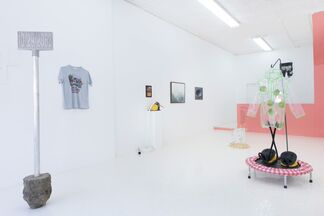 "In My Dreams" Curated by Aria McManus, installation view