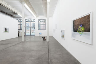 Kerstin Flake & Luise Schröder | FLYING IN MILK, installation view