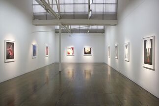 Nonetheless, installation view
