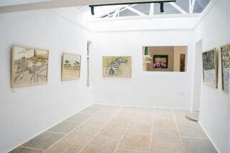 Earth and Sky: Paintings and Drawings by Timothy Brooke, installation view