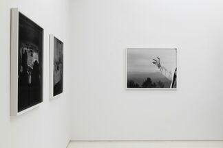 Eric Pickersgill: Removed, installation view