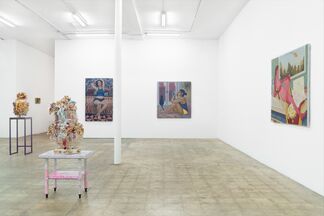 Lady Parts, installation view