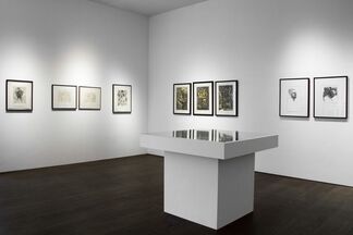 Peter Howson - A Survey of Prints, installation view