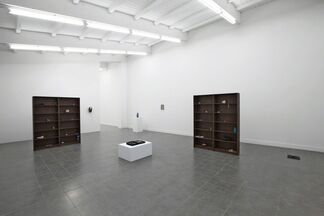 Nicolàs Lamas "The Structure of the Wild", installation view