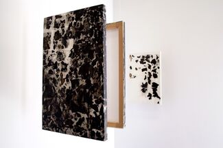 Cabinet de l'Art | Diane Giraud, installation view