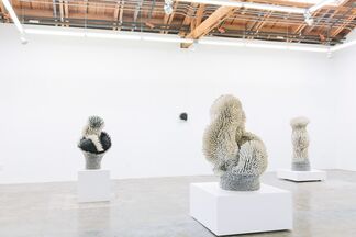 Zemer Peled - Nomad, installation view