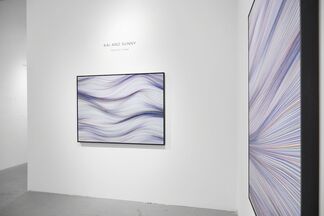 Kai & Sunny: Twists & Turns, installation view