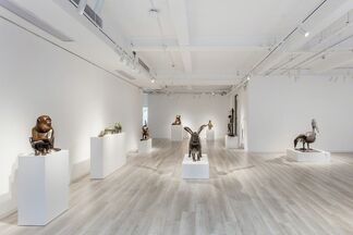 Daniel DAVIAU - “Animal Beauty”, installation view