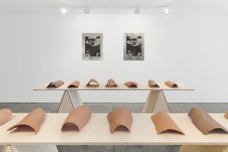 Muscular Notions, installation view