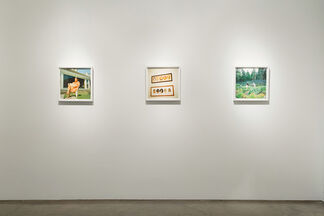 Frances F. Denny | Let Virtue Be Your Guide, installation view