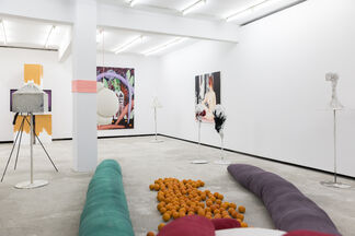 Double Blind, installation view