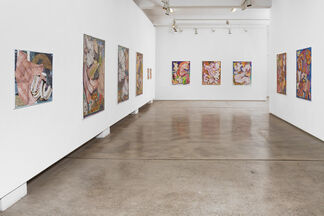 Every Day, installation view