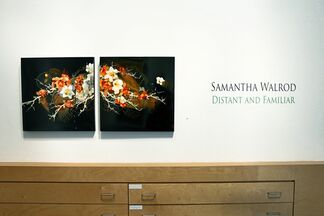 Samantha Walrod - "Distant and Familiar", installation view