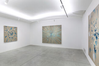 IN SEARCH OF HIGHER WORLDS, installation view